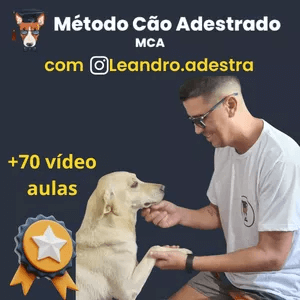 O Método Cão Adestrado Funciona? Sim, o Método Cão Adestrado funciona. O curso  é um programa online oferecido por Leandro Vianna, que ensina aos participantes como treinar e adestrar seus cães em casa em um período de 14 dias. O Método Cão Adestrado Vale a Pena? Sim, o Método Cão Adestrado vale a pena. Os participantes do curso também recebem diversos bônus, como acesso a um módulo de passeio perfeito, e-books, acesso a um grupo de suporte onde podem tirar dúvidas, acesso vitalício ao curso e um certificado de conclusão após o treinamento bem-sucedido do cão.